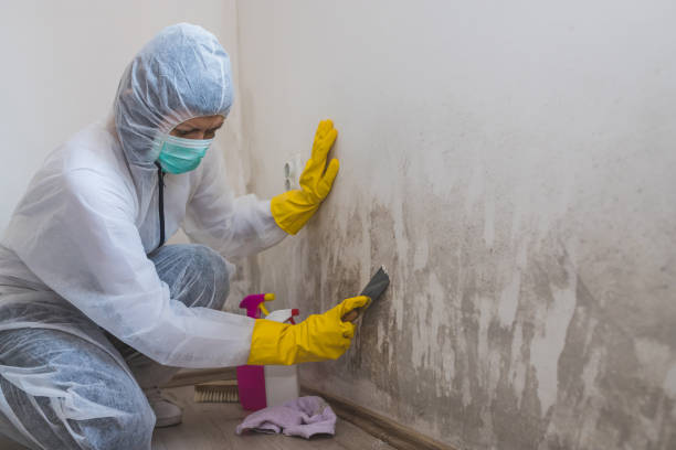 Best Affordable Mold Removal  in Fuquay Varina, NC