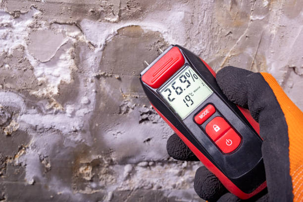 Best Mold Damage Repair  in Fuquay Varina, NC