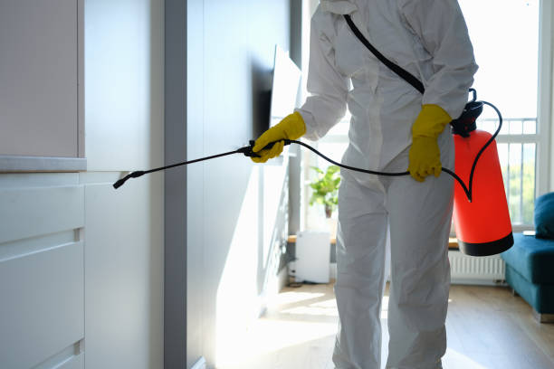 Best Mold Remediation Experts  in Fuquay Varina, NC