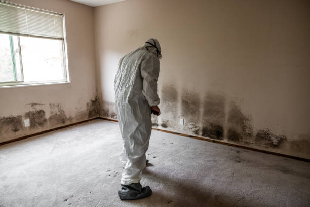 Best Same-Day Mold Removal  in Fuquay Varina, NC